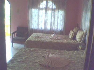 Cotton Tree Hotel Negril Habitación foto